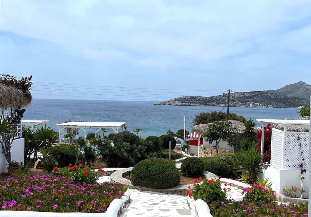 Blue Dolphin Antiparos Villas And Suites Agios Georgios  Exterior foto